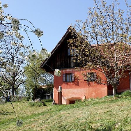 Ferienwohnungen Sonnenberg Ratsch an der Weinstrasse Exterior photo